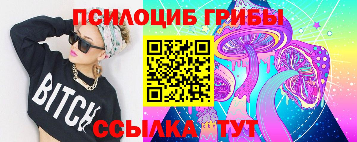 Кемерово  Галлюциногенные грибы Psilocybine cubensis  купить   Вход с VPN 